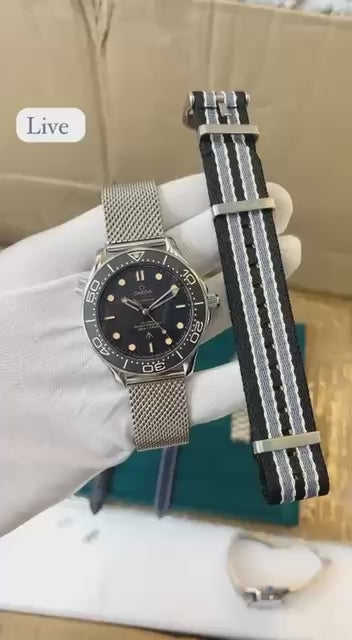 Omega Seamaster Diver 300M